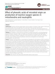 Effect of phenolic acids of microbial origin on production of reactive oxygen species in mitochondria and neutrophils