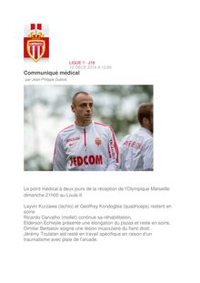 AS MONACO - Communiqué Médical - Berbatov et Toulalan absents contre Marseille 