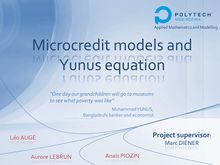 Microcredit models and Yunus equation