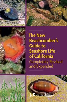 The New Beachcomber’s Guide to Seashore Life of California