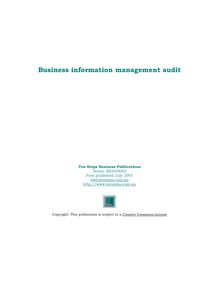 10 steps business audit