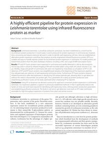 A highly efficient pipeline for protein expression in Leishmania tarentolaeusing infrared fluorescence protein as marker