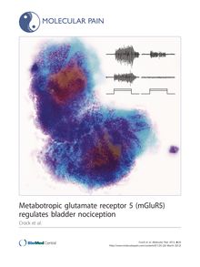 Metabotropic glutamate receptor 5 (mGluR5) regulates bladder nociception