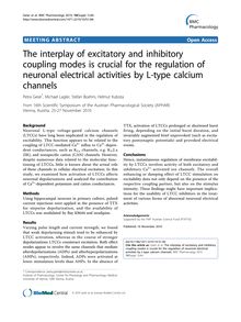 The interplay of excitatory and inhibitory coupling modes is crucial for the regulation of neuronal electrical activities by L-type calcium channels