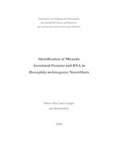 Identification of Miranda associated proteins and RNA in Drosophila melanogaster neuroblasts [Elektronische Ressource] / Diana Alia Laura Langer