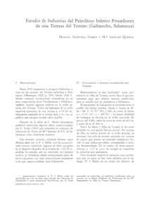 Estudio de Industrias del Paleolítico Inferior Procedentes de una Terraza del Tormes (Galisancho, Salamanca)