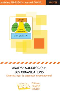 Analyse sociologique des organisations