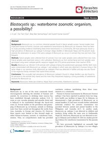 Blastocystis sp.: waterborne zoonotic organism, a possibility?