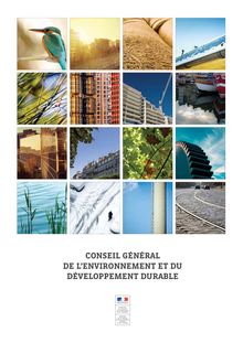 Conseil général de l environnement et du développement durable : rapport d activité 2012