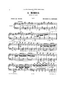 Partition complète, A Mimosa, Op.33, Mazurka de salon, A ? minor