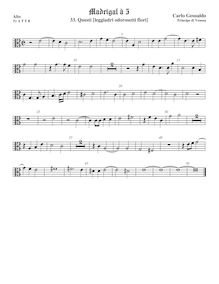 Partition ténor viole de gambe 1, alto clef, madrigaux, Book 1, Gesualdo, Carlo par Carlo Gesualdo