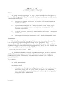 DOCS-1870542-v2-Urologix Inc  Audit Committee Charter
