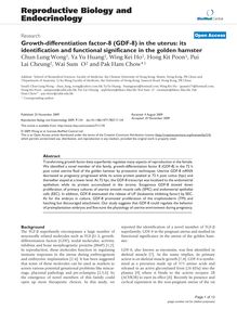 Growth-differentiation factor-8 (GDF-8) in the uterus: its identification and functional significance in the golden hamster