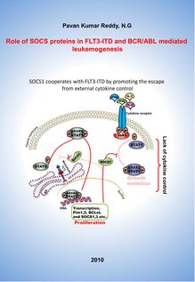 Role of SOCS proteins in FLT3-ITD and BCR-ABL mediated leukemogenesis [Elektronische Ressource] / by Pavan Kumar Reddy, N. G.