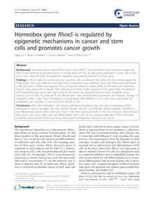 Homeobox gene Rhox5is regulated by epigenetic mechanisms in cancer and stem cells and promotes cancer growth