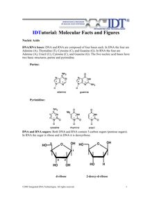 Tutorial Molecular Facts and Figures