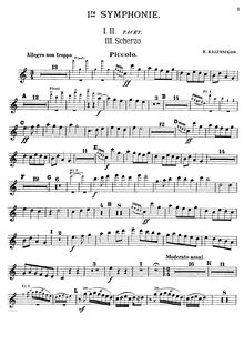 Partition Piccolo, Symphony No.1 en G minor, 1re Symphonie, Kalinnikov, Vasily
