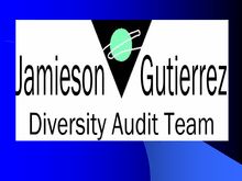 Tempe Diversity Audit Update Detailed Findings