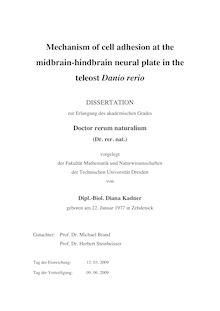 Mechanism of cell adhesion at the midbrain-hindbrain neural plate in the teleost Danio rerio [Elektronische Ressource] / von Diana Kadner