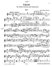 Partition flûte, Trio pour flûte, violon et violoncelle, D minor/ D major
