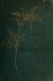 Flowers of the Engadine. Drawn from nature
