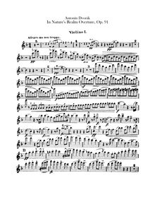 Partition violons I, en Nature s Realm, V přírodě, Dvořák, Antonín