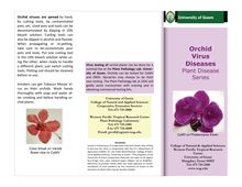 Orchid virus diseases
