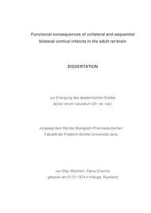 Functional consequences of unilateral and sequential bilateral cortical infarcts in the adult rat brain [Elektronische Ressource] / von Elena Chanina