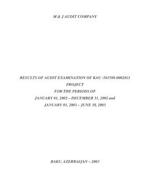 FinDev Audit Report 2002