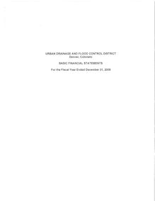 2009 Audit Report