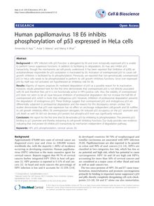 Human papillomavirus 18 E6 inhibits phosphorylation of p53 expressed in HeLa cells