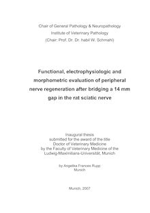 Functional, electrophysiologic and morphometric evaluation of peripheral nerve regeneration after bridging a 14 mm gap in the rat sciatic nerve [Elektronische Ressource] / by Angelika Frances Rupp