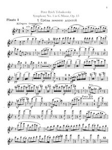 Partition flûte 1, 2, Piccolo, Symphony No.1, Зимние грезы (Zimnie grezy) = Winter Daydreams, Winter Dreams