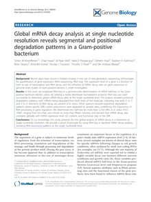 Global mRNA decay analysis at single nucleotide resolution reveals segmental and positional degradation patterns in a Gram-positive bacterium