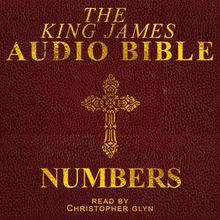 04 Numbers The Old Testament