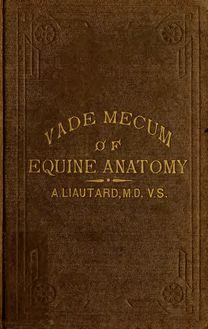 Vade mecum of equine anatomy : for the use of advanced students and veterinary surgeons