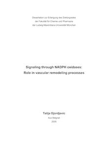 Signaling through NADPH oxidases [Elektronische Ressource] : role in vascular remodeling processes / Talija Djordjevic