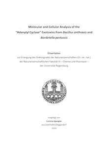 Molecular and cellular analysis of the adenylyl cyclase exotoxins from Bacillus anthracis and Bordetella pertussis [Elektronische Ressource] / vorgelegt von Corinna Spangler