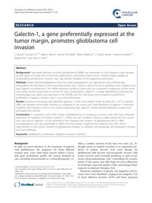 Galectin-1, a gene preferentially expressed at the tumor margin, promotes glioblastoma cell invasion