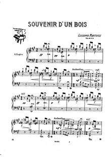 Partition No.2 Souvenir d un bois, Sei Pezzi, Op.38, Martucci, Giuseppe