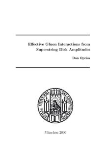 Effective gluon interactions from superstring disk amplitudes [Elektronische Ressource] / vorgelegt von Dan Oprisa