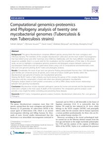 Computational genomics-proteomics and Phylogeny analysis of twenty one mycobacterial genomes (Tuberculosis & non Tuberculosis strains)