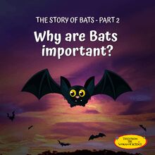 Why are Bats important to our world?- Part 2