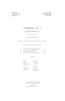 Partition , Andante sostenuto—Allegro comodo, Symphony No.2, Little Russian