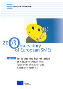 SMEs and the liberalisation of network industries