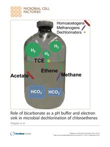 Role of bicarbonate as a pH buffer and electron sink in microbial dechlorination of chloroethenes