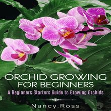 Orchid Growing for Beginners: A Beginners Starters Guide to Growing Orchids