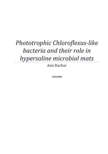 Phototrophic Chloroflexus-like bacteria and their role in hypersaline microbial mats [Elektronische Ressource] / vorgelegt von Ami Bachar