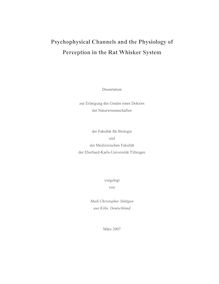 Psychophysical channels and the physiology of perception in the rat whisker system [Elektronische Ressource] / vorgelegt von Maik Christopher Stüttgen