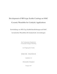 Development of MFI-type zeolite coatings on SiSiC ceramic monoliths for catalytic applications [Elektronische Ressource] = Entwicklung von MFI-Typ-Zeolith-Beschichtungen auf SiSiC keramischen Monolithen für katalytische Anwendungen / vorgelegt von Alessandro Zampieri